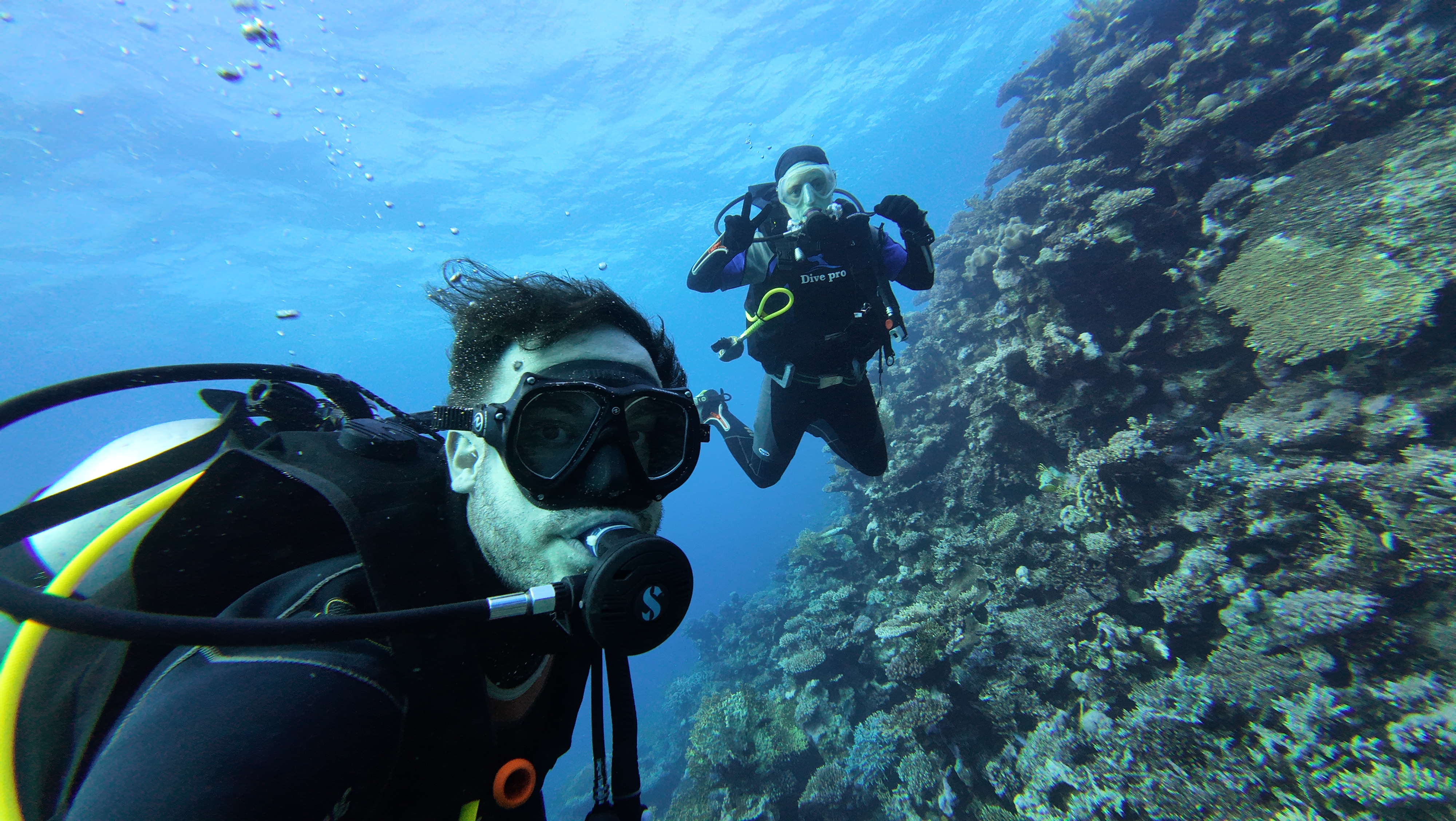 Diving
